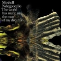 Me'shell Ndegeocello [The World Has Made Me The Man Of My Dreams]
