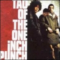 Tao Of The One Inch Punch