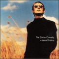 A Secret History : The Best Of The Divine Comedy